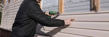 Best Siding Painting and Refinishing  in Oak Hill, FL